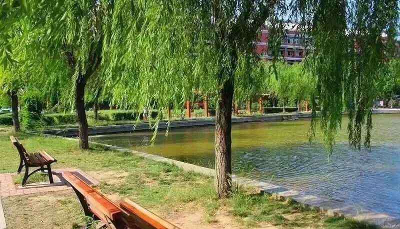 新乡学院地址 想报考新乡学院吗？你想知道的都在这里