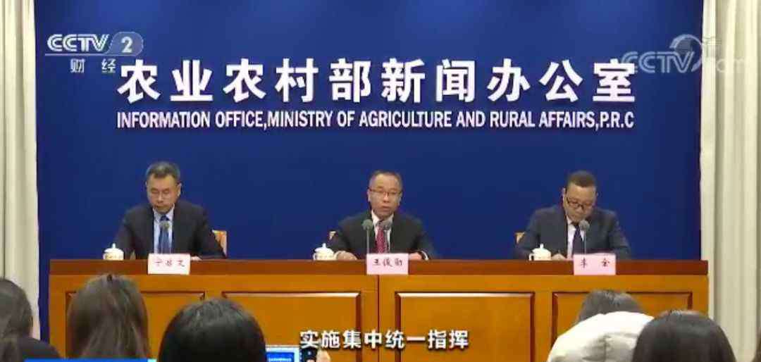 死猪 “炒猪团”投放死猪，死猪被“洗白”！国家出手了！