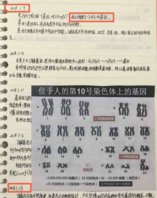 成功学论文 着急的“神童”和疯狂变现的“成功学”