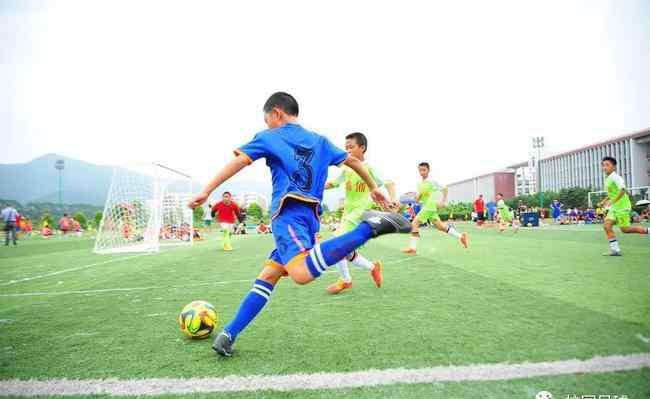 爱足球 爱踢球有助于学习?高考状元爱足球 6成是运动达人