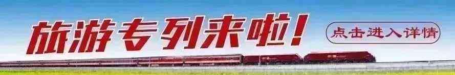 沁阳市实验小学 体验“行走的课堂”！我市两所小学成为河南省中小学生研学旅行实验校