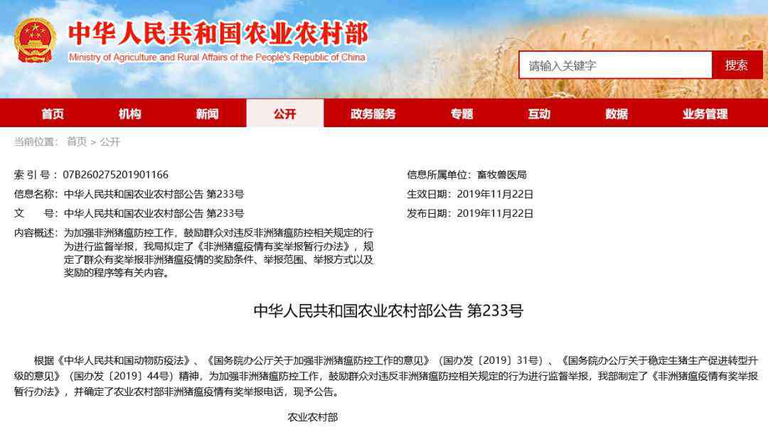 死猪 “炒猪团”投放死猪，死猪被“洗白”！国家出手了！