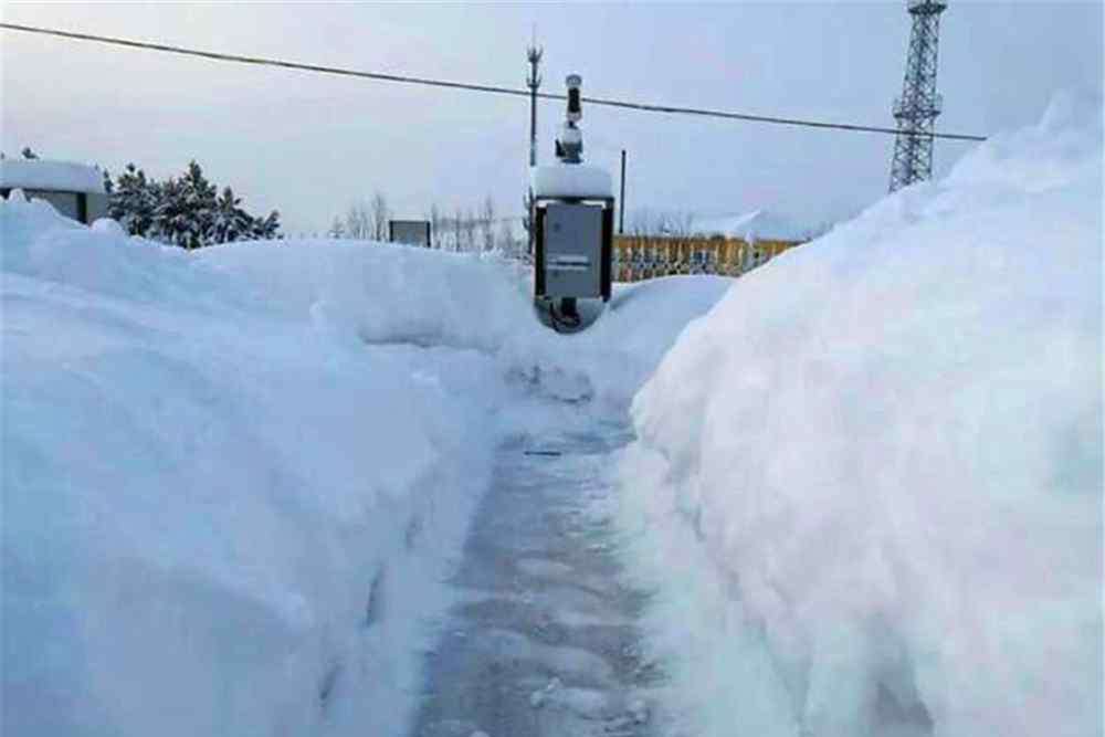 东北大雪 东北突如其来的大雪，对农作物有多大影响？