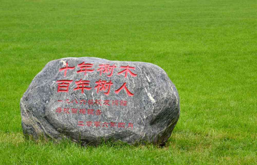 二本与三本的区别 读大学，一本，二本，和三本，最本质的区别是这3点
