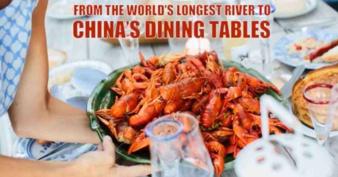 小龙虾的来历 视界 | 它们如何从世界最长的河流，千里迢迢来到中国人的餐桌？