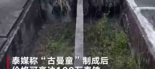 婴儿尸体 婴儿尸体被盗！得知用途后“人神共愤”！网友：你们还有人性吗？