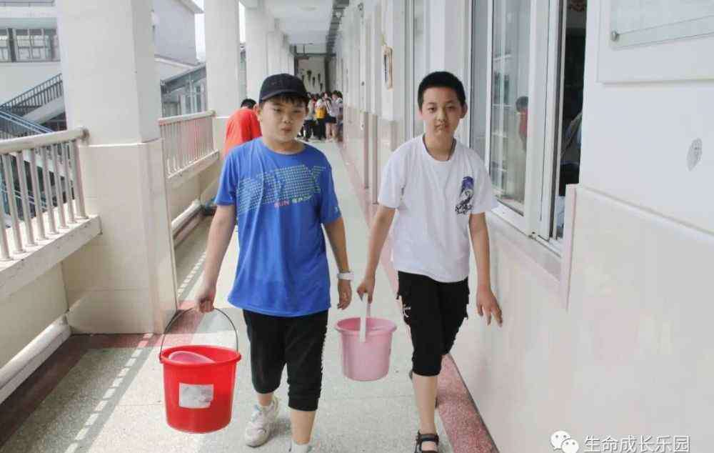 大马路小学 大马路小学毕业生拍了拍学弟学妹：一份劳动实践礼物请查收