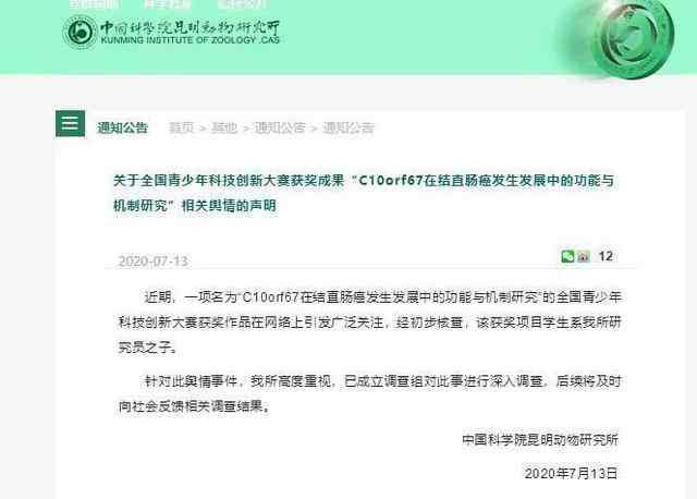 全国有多少小学生 小学生研究癌症获全国大奖：有多少父母能接受孩子的平庸？
