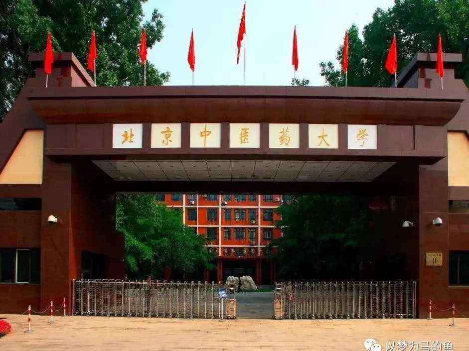 五星级大学 35所北京市不低于“五星级”的大学，都是一本大学，在全国影响力很大