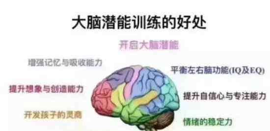学能教育 全脑学能培养教育发展大趋势，你家孩子准备好了吗？