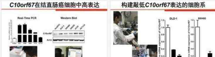 11岁小学生 11岁小学生获得全国科技大奖，撕开了科研最后一块羞耻布
