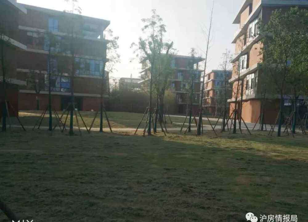 青浦教育 青浦将成下一个教育强区，七大名校汇聚！国际青浦已然崛起
