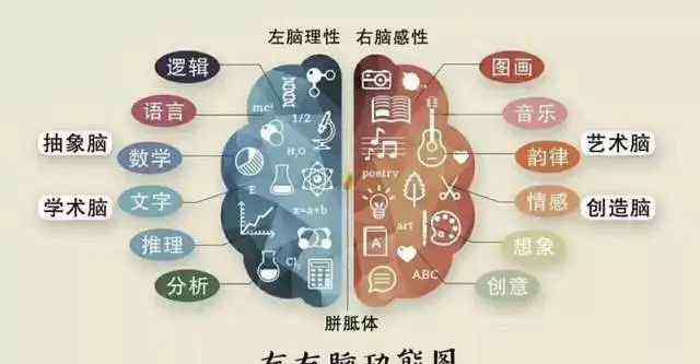学能教育 全脑学能培养教育发展大趋势，你家孩子准备好了吗？