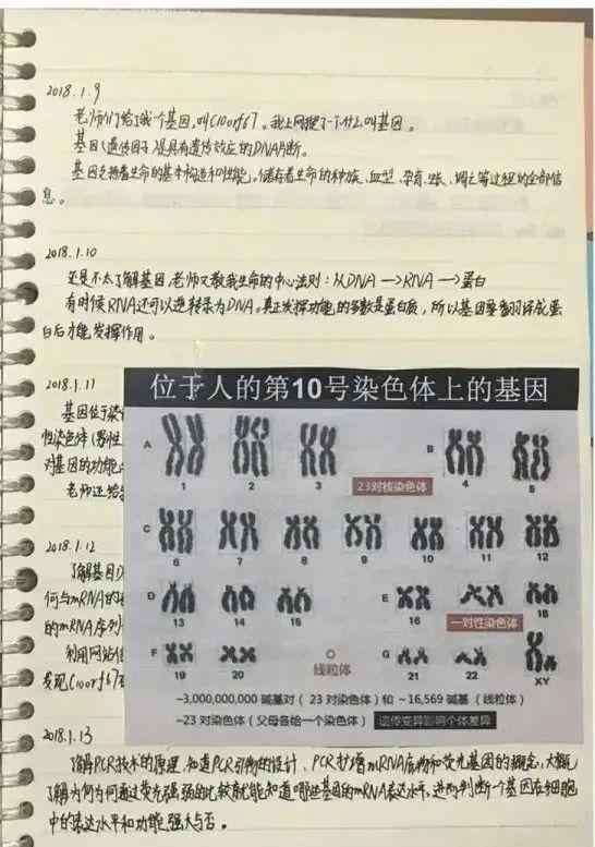 全国有多少小学生 小学生研究癌症获全国大奖：有多少父母能接受孩子的平庸？