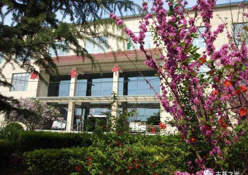 合阳县城关小学 “春”至校园 等你归来-合阳县城关小学校长高宏斌寄语全体学生