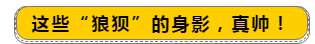  “屁股蹲儿”算啥！消防员“花式出警”合集来了，笑着笑着心疼了