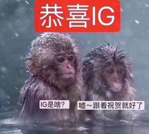 埃及驻上海大使馆 IG赢了总决赛后，埃及驻上海领事馆：恭喜埃及！