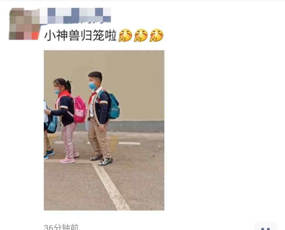 香樟雅苑小学 “小神兽”归笼！蜀山一二三年级30000多名学生返校！