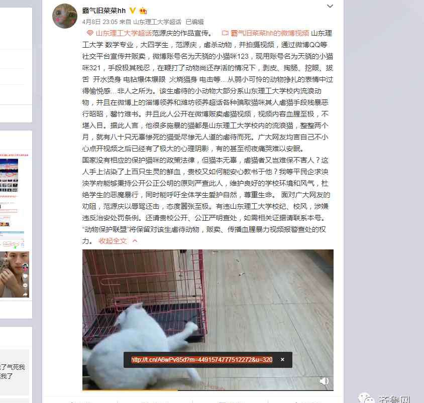 拍摄虐猫视频大学生道歉 山东理工大学拍摄虐猫视频大学生道歉：希望给我一次改过的机会