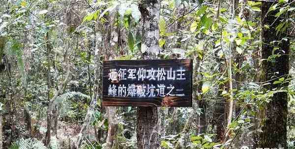 网易爆炸 人类史上最大的常规爆炸有哪些?最大一次炸死1万人