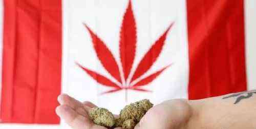 大麻是毒品吗 大麻热销，加拿大离毒品全面合法还有多远？