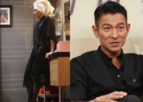 刘德华个人资料 刘德华个人资料 刘德华所主演的电影电视剧