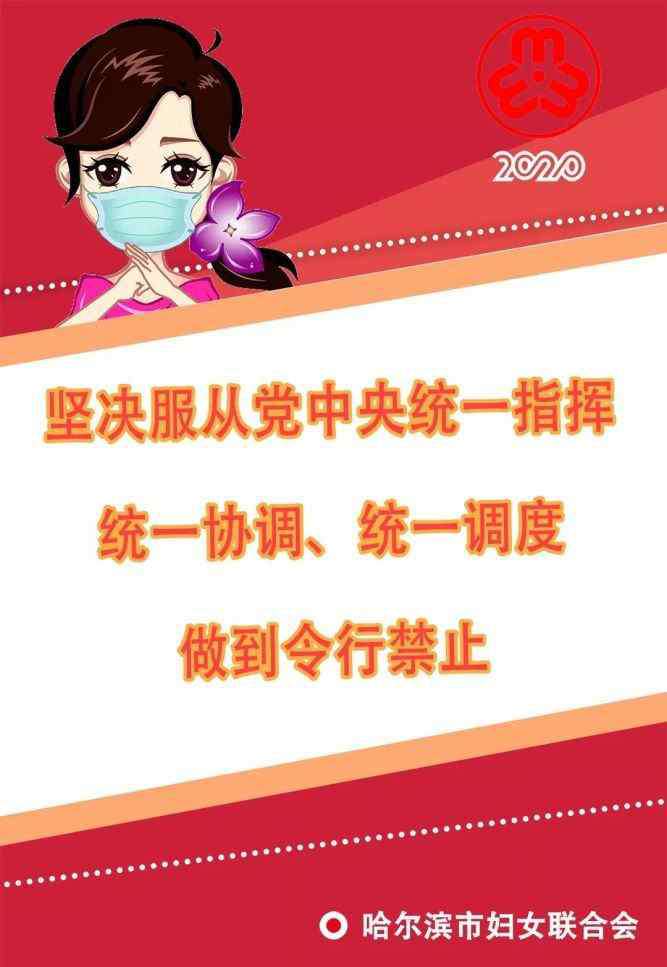 哈尔滨云教育平台 所有人，哈尔滨教育云平台空中课堂观看指南