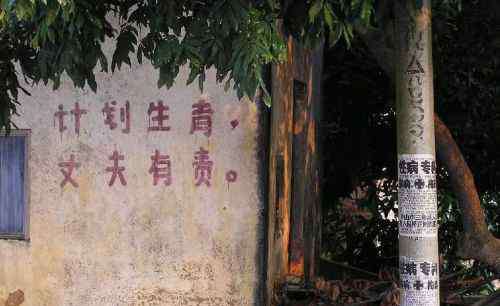 田雪原 计划生育之父：我问心无愧