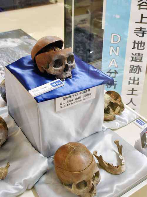 弥生人 弥生时代遗骨DNA显示来自大陆，日网友称若与中国同族能接受，如跟韩国同族想自杀！