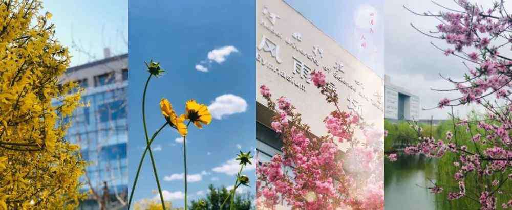 河北科技大学 走进京津冀最美大学之河北科技大学
