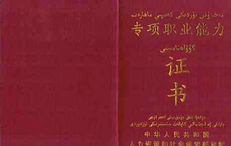 劳动部职业资格证书 人社部直属国家职业资格专项能力证书