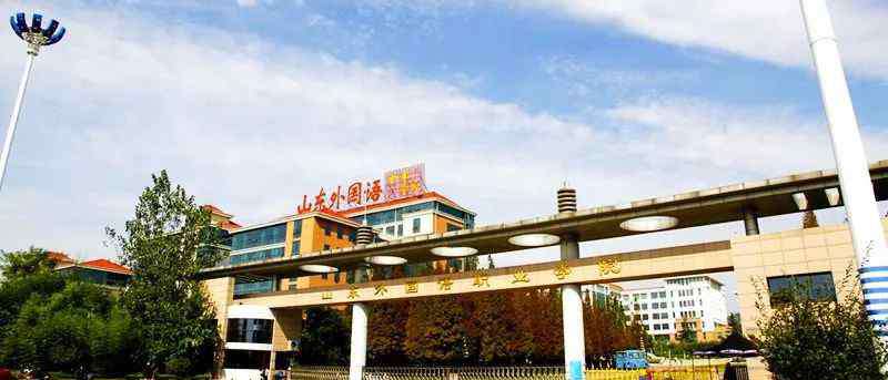 凯文职业技术学院 学院升级大学，山东三所学校升格为“本科层次职业学校”
