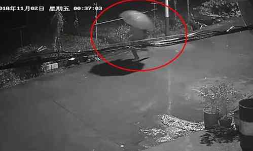 母女奔丧遭杀害 母女奔丧遭杀害 附近监控曾拍到有可疑人员出没