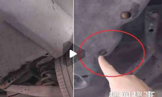 车发现 近日,北京一车主发现自家车内传出微弱叫声,急忙把车开到汽修店检查,维修员往车底一看