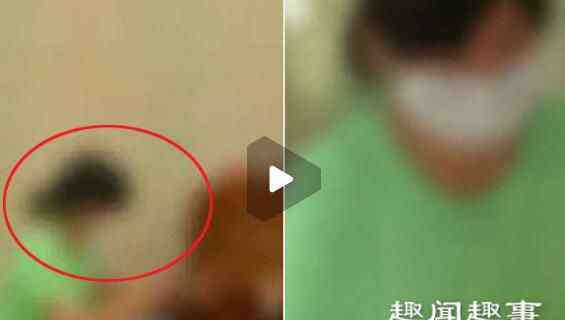 意想不到 女子五个月内生两次孩子?背后原因让人意想不到真相实在令人崩溃