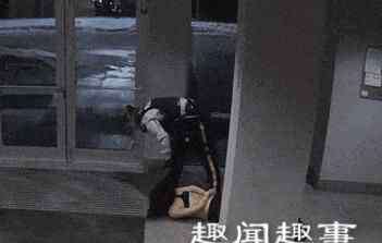 女生打架踢头踩脸 女生遭警察暴力 “踩头杀” 只穿内衣被拖拽数十米现场揪心了