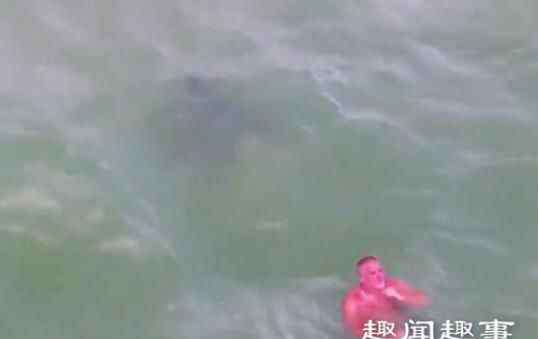 巨型黄貂鱼 男子在海中游泳全身通红如同被“煮熟” 网友看完直呼奇葩