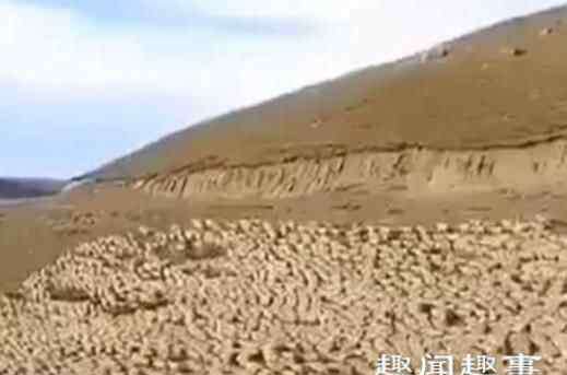 蒙古国希望内蒙古合并 蒙古国赠送中国的30000只羊已浩浩荡荡赶往口岸?真相来了曝光令人无语