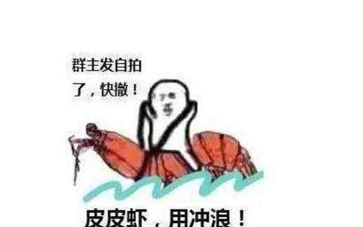 皮皮虾我们走是什么梗 皮皮虾我们走是什么梗？皮皮虾我们走是什么意思？出处哪里