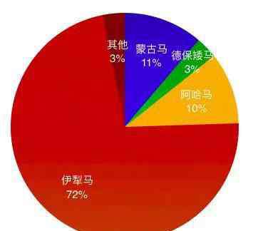 伊犁马 伊犁马，绝对优势的胜利者