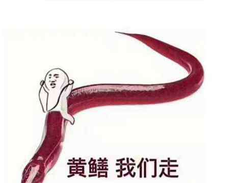 网络语走心是什么意思 老铁没毛病是什么梗?2017网络用语大盘点