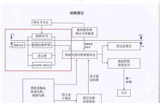 注册登记流程 马匹登记工作流程介绍