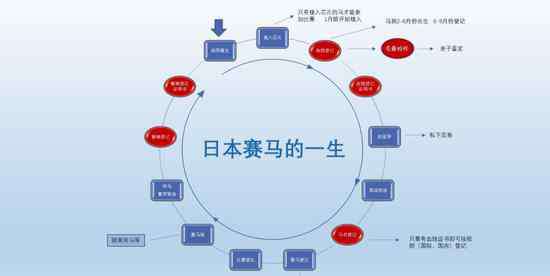 注册登记流程 马匹登记工作流程介绍