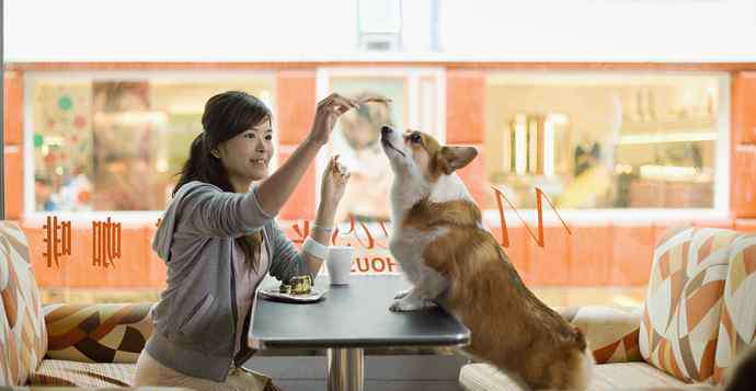 宠物餐厅 ​上海“宠物友好”餐厅真的那么难找？店主诉苦：原因不在宠物而在人
