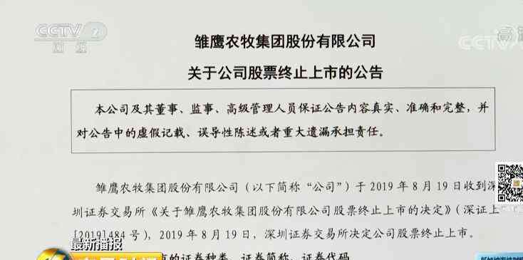 金焰律师 18万股东被坑惨！曾经的“中国养猪第一股”为何倒下了？