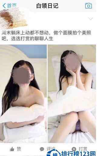 支付鸨 【支付鸨750事件】支付鸨是什么意思?支付鸨是什么梗