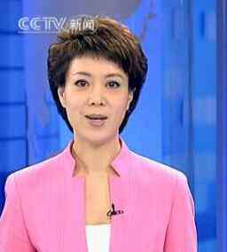 文静个人资料图片 新闻三十分主持人李文静个人资料和照片