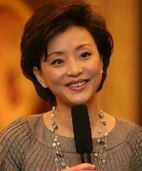 杨澜简历 杨澜国籍是哪国 杨澜个人资料简历