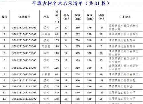 笔筒树 平潭全区共有31株古树名木 最老一株已有330岁