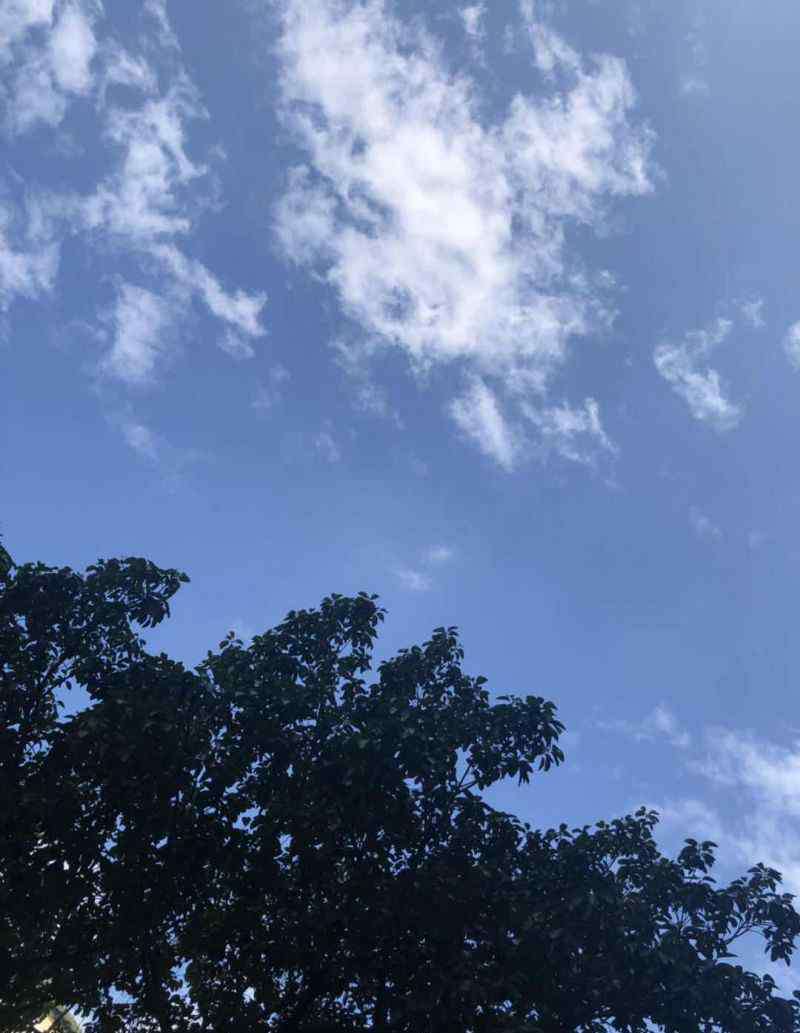 夏至图片 夏至图片朋友圈说说配图 最新夏至文案迎接夏天文艺唯美句子